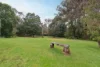 7 Faith Court, Langwarrin, Vic 3910-Image