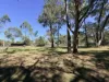 7 Melaleuca Court, Redridge, Qld 4660-Image