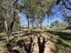 7 Melaleuca Court, Redridge, Qld 4660-Image