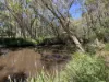 7 Melaleuca Court, Redridge, Qld 4660-Image