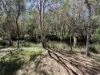 7 Melaleuca Court, Redridge, Qld 4660-Image