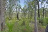 7 Pinnell rd, Crows Nest, Qld 4355-Image