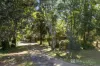 70 Hunter Street, Burringbar, NSW 2483-Image