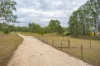 70 Mudlo Road, Kilkivan, Qld 4600-Image