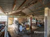705 River Road, Kialla East, Vic 3631-Image