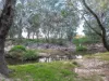 705 River Road, Kialla East, Vic 3631-Image