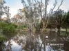 705 River Road, Kialla East, Vic 3631-Image
