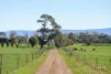 709 Illawarra Road, Longford, Tas 7301-Image