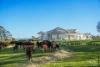 709 Illawarra Road, Longford, Tas 7301-Image