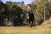 71 Atkinson Road, Araluen, Qld 4570-Image