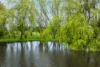 71 Balls Lane, Kyneton, Vic 3444-Image