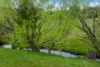 71 Balls Lane, Kyneton, Vic 3444-Image