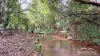 71 Varley Road, Malanda, Qld 4885-Image