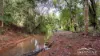 71 Varley Road, Malanda, Qld 4885-Image