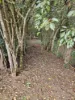 71 Varley Road, Malanda, Qld 4885-Image