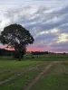 71 Varley Road, Malanda, Qld 4885-Image
