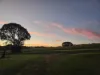 71 Varley Road, Malanda, Qld 4885-Image