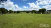 711 Peeramon Road, Peeramon, Qld 4885-Image