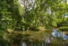 716 Binna Burra Road, Federal, NSW 2480-Image