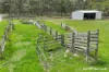 719 Balloong Road, Woodside, Vic 3874-Image