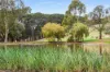 72 Baldrys Road, Main Ridge, Vic 3928-Image