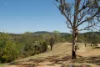 724 Kholo Road, Kholo, Qld 4306-Image