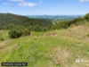 724 Tomewin Road, Tomewin, NSW 2484-Image