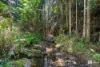 724 Tomewin Road, Tomewin, NSW 2484-Image