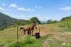 724 Tomewin Road, Tomewin, NSW 2484-Image