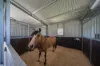 729 Fosterton Road, Fosterton, NSW 2420-Image