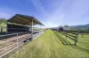 729 Fosterton Road, Fosterton, NSW 2420-Image