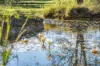 73 Nutmans Road, Grose Wold, NSW 2753-Image