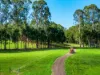730 Lismore Road, Nashua, NSW 2479