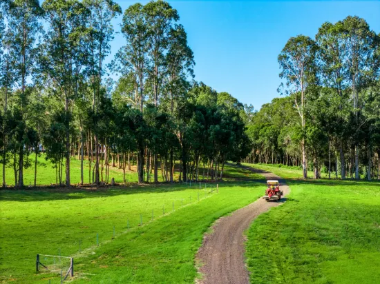 730 Lismore Road, Nashua, NSW 2479