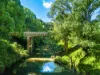 730 Lismore Road, Nashua, NSW 2479-Image