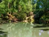 730 Lismore Road, Nashua, NSW 2479-Image