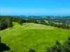730 Lismore Road, Nashua, NSW 2479-Image