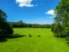 730 Lismore Road, Nashua, NSW 2479-Image