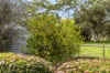 74 Ellis Road, Meadows, SA 5201-Image