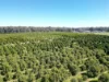 74 Quicks Road, Barooga, NSW 3644-Image