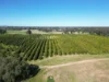 74 Quicks Road, Barooga, NSW 3644-Image