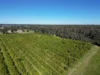 74 Quicks Road, Barooga, NSW 3644-Image