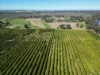 74 Quicks Road, Barooga, NSW 3644-Image