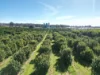 74 Quicks Road, Barooga, NSW 3644-Image