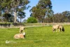 748 Burrendong Way, Orange, NSW 2800-Image