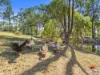 75 Budarick Road, Cawarral, Qld 4702-Image