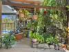 75 Budarick Road, Cawarral, Qld 4702-Image