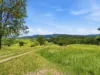 75 Colemans Rd, Valla, NSW 2448-Image