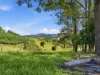 75 Colemans Rd, Valla, NSW 2448-Image