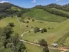 75 Colemans Rd, Valla, NSW 2448-Image